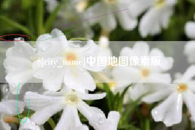 永新中国地图像素版