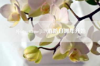永新119消防日哪年开始