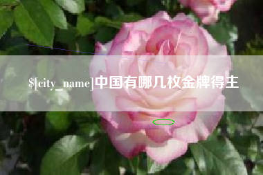 永新中国有哪几枚金牌得主