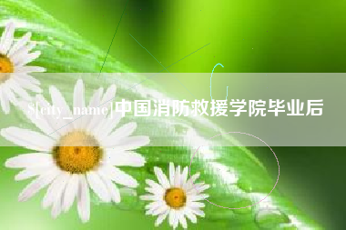 永新中国消防救援学院毕业后