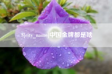 永新中国金牌都是啥