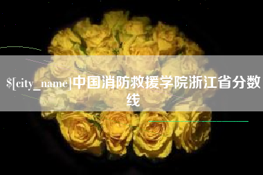 永新中国消防救援学院浙江省分数线