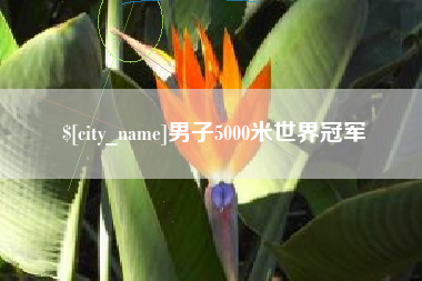 永新男子5000米世界冠军