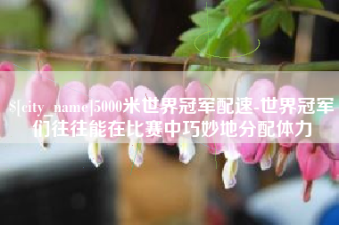 永新5000米世界冠军配速-世界冠军们往往能在比赛中巧妙地分配体力