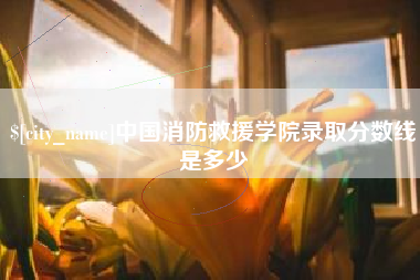 永新中国消防救援学院录取分数线是多少