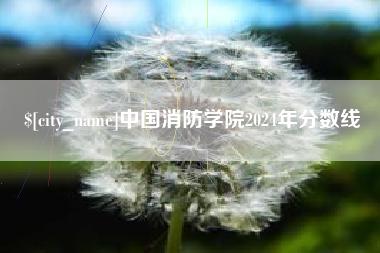永新中国消防学院2024年分数线