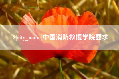永新中国消防救援学院要求