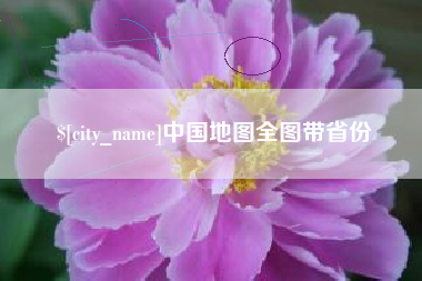 永新中国地图全图带省份