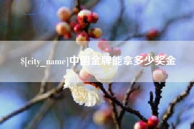 永新中国金牌能拿多少奖金