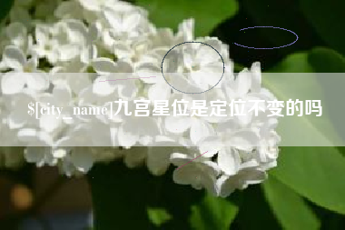 永新九宫星位是定位不变的吗