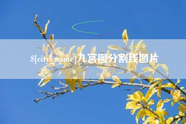 永新九宫图分割线图片