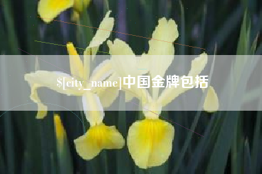 永新中国金牌包括