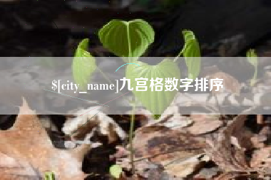 永新九宫格数字排序