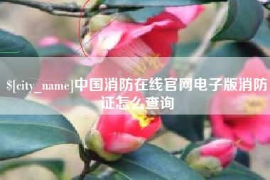 永新中国消防在线官网电子版消防证怎么查询