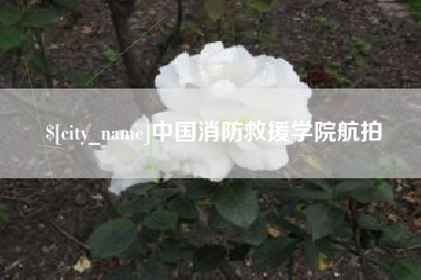 永新中国消防救援学院航拍