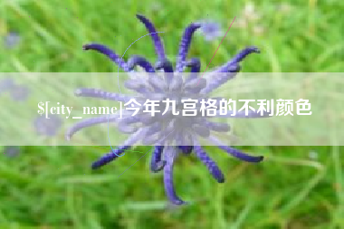 永新今年九宫格的不利颜色