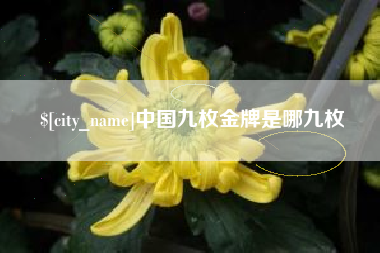 永新中国九枚金牌是哪九枚