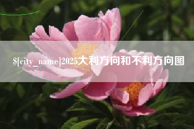 永新2025大利方向和不利方向图