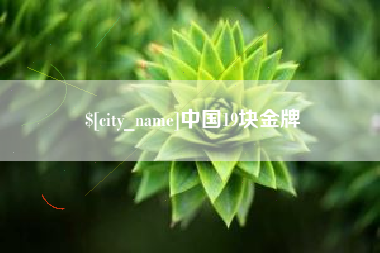 永新中国19块金牌
