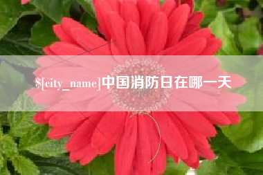 永新中国消防日在哪一天