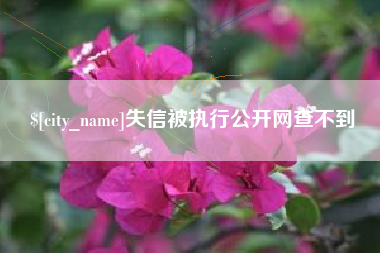 永新失信被执行公开网查不到