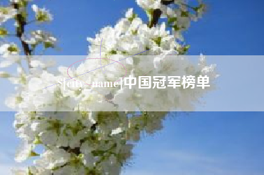 永新中国冠军榜单