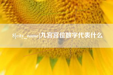 永新九宫宫位数字代表什么