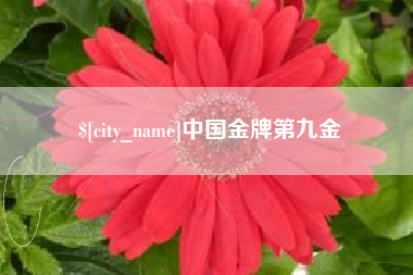 永新中国金牌第九金