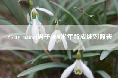 永新男子5000米年龄成绩对照表