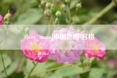 永新中国地图9宫格