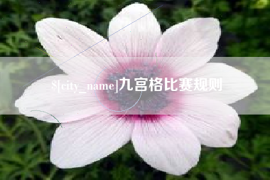 永新九宫格比赛规则
