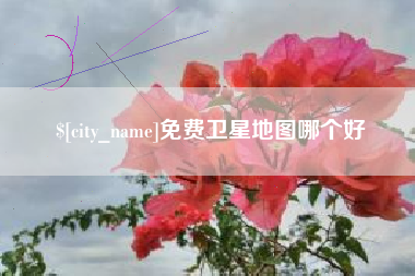永新免费卫星地图哪个好