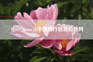 永新1.中国执行信息公开网