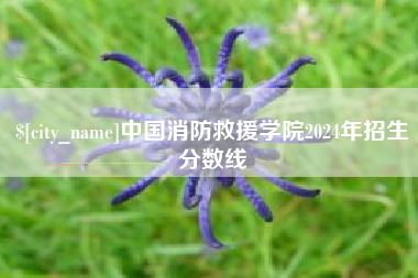 永新中国消防救援学院2024年招生分数线