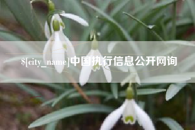 永新中国执行信息公开网询