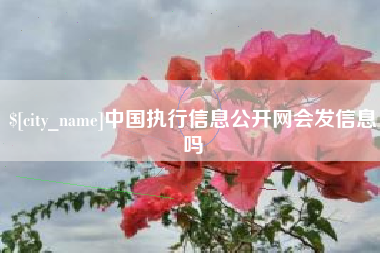 永新中国执行信息公开网会发信息吗