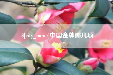 永新中国金牌哪几项