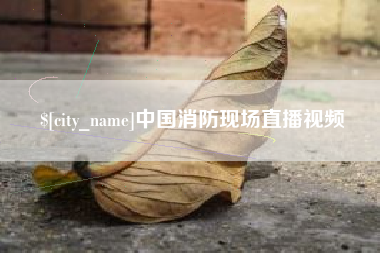 永新中国消防现场直播视频