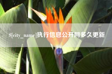 永新执行信息公开网多久更新
