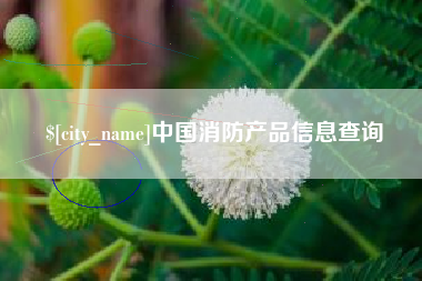 永新中国消防产品信息查询