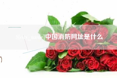 永新中国消防网址是什么