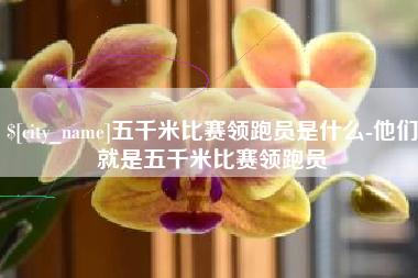 永新五千米比赛领跑员是什么-他们就是五千米比赛领跑员