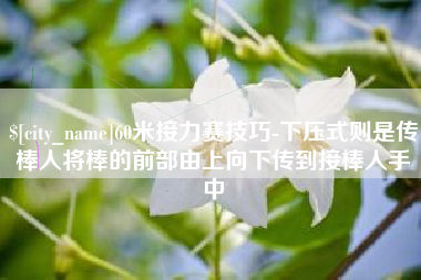 永新60米接力赛技巧-下压式则是传棒人将棒的前部由上向下传到接棒人手中
