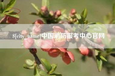 永新中国消防报考中心官网