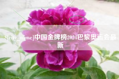 永新中国金牌榜2024巴黎奥运会最新