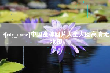 永新中国金牌图片大全大图高清无水印