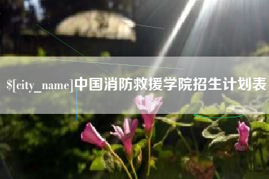 永新中国消防救援学院招生计划表