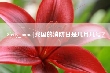 永新我国的消防日是几月几号？