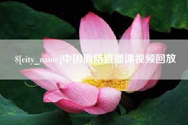 永新中国消防直播课视频回放