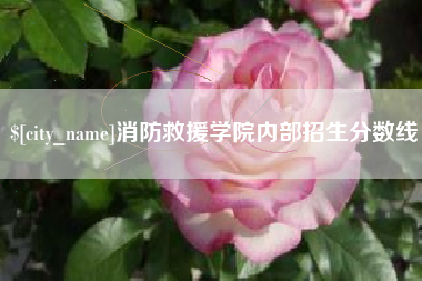 永新消防救援学院内部招生分数线
